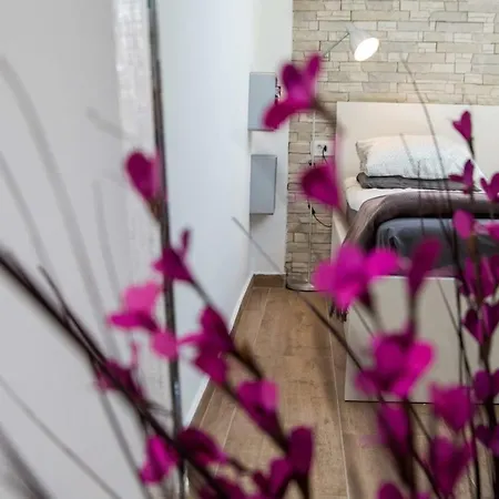 Velvet 두브로브니크